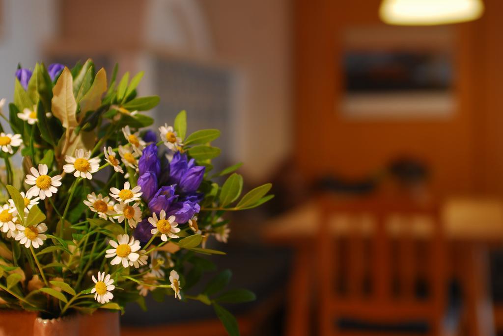 Alpenlodge ฟรอนเทน ภายนอก รูปภาพ